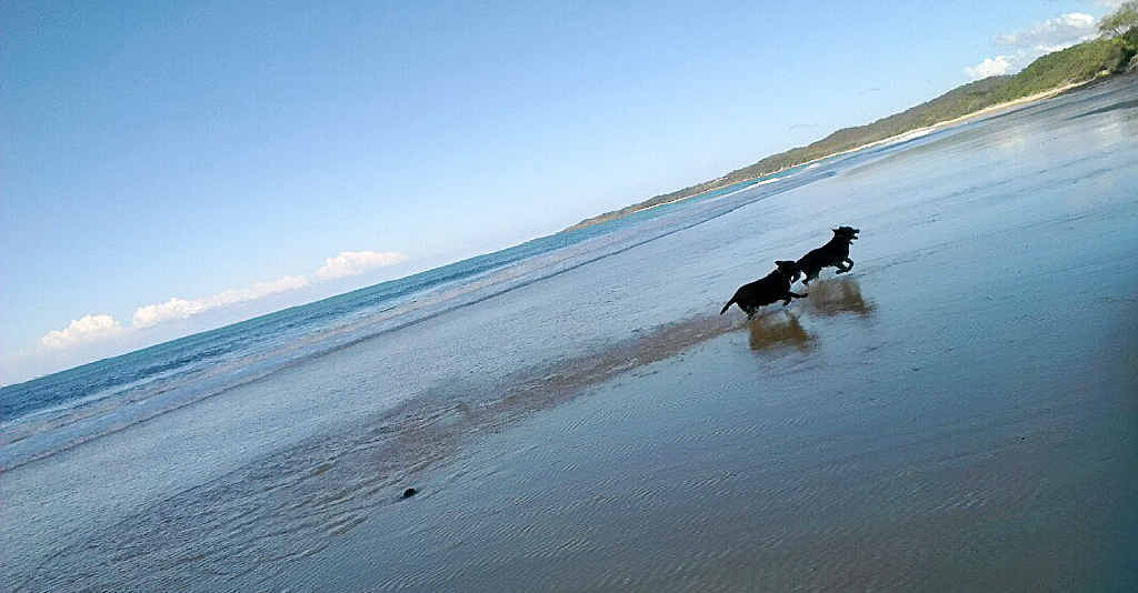 TURNING TIDE: Minnie Water Back Beach could soon be re-opened to recreational anglers if marine sanctuary protections are revoked. Photo: Contributed TURNING TIDE: Minnie Water Back Beach could soon be re-opened to recreational anglers if marine sanctuary protections are revoked. Photo: Contributed